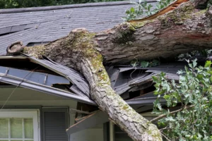 Roof Damaged in Storm