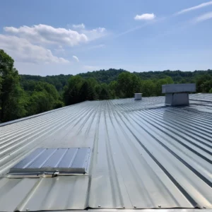 commercial metal roofing inspection